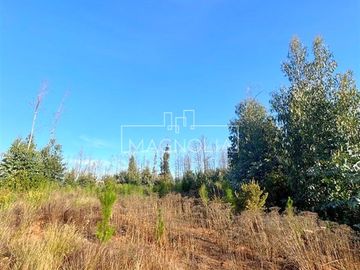 Sitio en Venta en QUILQUELT, Santa Juana