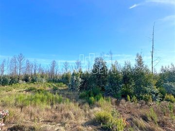 Sitio en Venta en QUILQUELT, Santa Juana