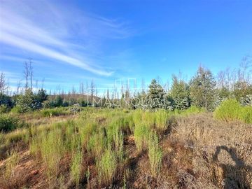 Agrícola en Venta en QUILQUELT, Santa Juana