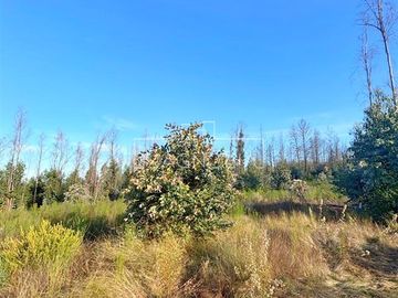 Agrícola en Venta en QUILQUELT, Santa Juana