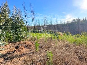 Agrícola en Venta en QUILQUELT, Santa Juana