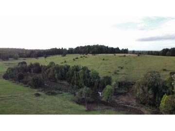 PROYECTO PRADERAS CHILOÉ Parcelas En Venta En Castro - Chiloé
