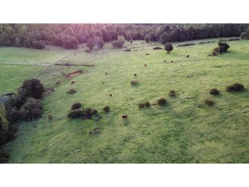PROYECTO PRADERAS CHILOÉ Parcelas En Venta En Castro - Chiloé
