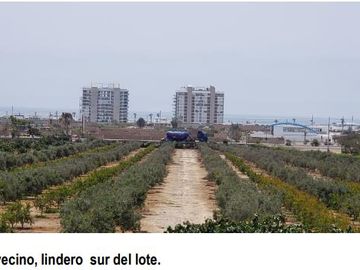 Se vende terreno ubicado en La Bocana, Asia