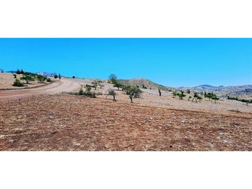 Parcela En Venta En Llaillay