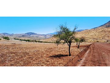 Parcela En Venta En Llaillay