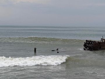 TERRENOS GRANDES DE OPORTUNIDAD FRENTE A LA PLAYA