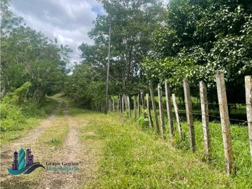 SE VENDE FINCA 2.3 HECTREAS