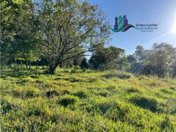 SE VENDE FINCA 2.3 HECTREAS