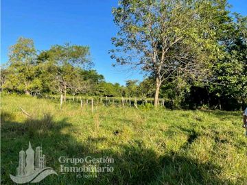 SE VENDE FINCA 2.3 HECTREAS