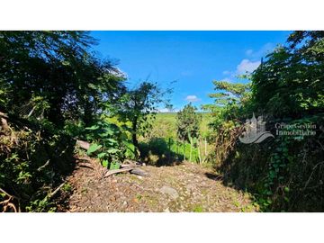 SE VENDE FINCA 2.3 HECTREAS