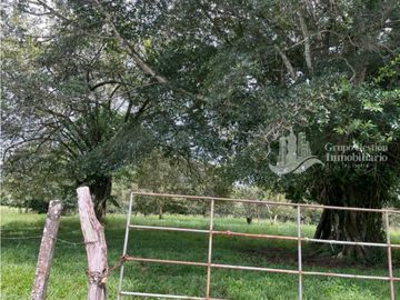 SE VENDE FINCA 2.3 HECTREAS