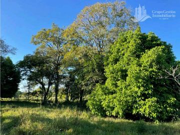 SE VENDE FINCA 2.3 HECTREAS