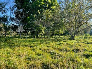 SE VENDE FINCA 2.3 HECTREAS