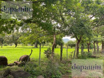 Rancho en Venta en Aldama