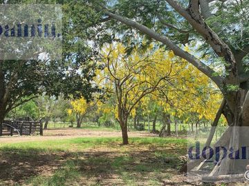 Rancho en Venta en Aldama
