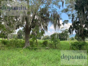 Rancho en Venta en Aldama