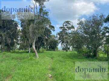 Rancho en Venta en Aldama