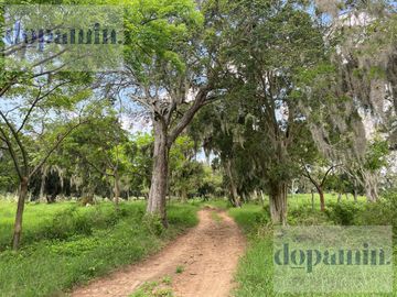 Rancho en Venta en Aldama