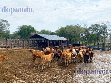 Rancho en Venta en Aldama