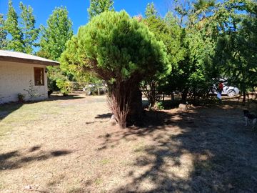 Casa y Parcela de 1 Hectárea en sector San Antonio Encina