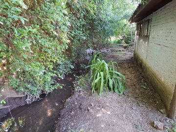 Casa y Parcela de 1 Hectárea en sector San Antonio Encina