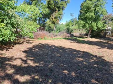 Casa y Parcela de 1 Hectárea en sector San Antonio Encina
