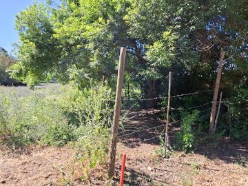 Casa y Parcela de 1 Hectárea en sector San Antonio Encina