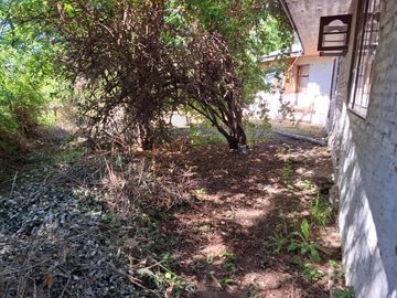 Casa y Parcela de 1 Hectárea en sector San Antonio Encina