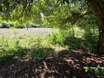 Casa y Parcela de 1 Hectárea en sector San Antonio Encina