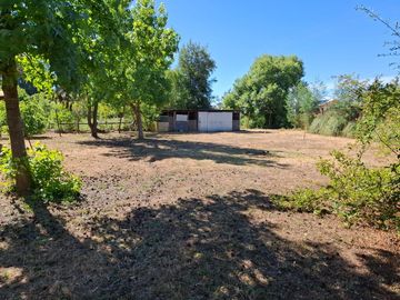 Casa y Parcela de 1 Hectárea en sector San Antonio Encina