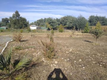Casa y Parcela de 9.000.- Mts2, en Sector Maitencillo