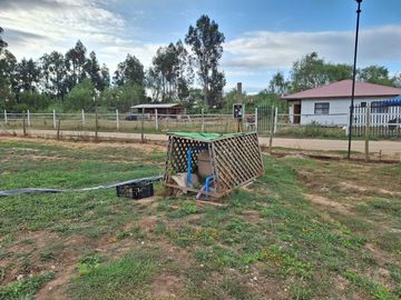Casa y Parcela de Media Hectárea en Yerbas Buenas