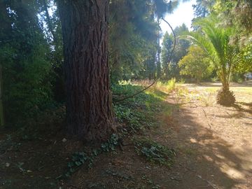 Casa y Parcela de Media Hectárea, ubicada en Villa Alegre