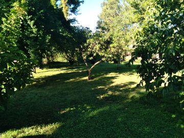 Casa en Parcela de Media Hectárea, sector Ballica Norte