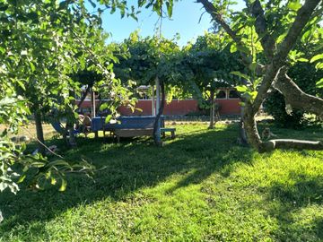 Casa en Parcela de Media Hectárea, sector Ballica Norte