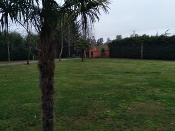 Linda Casa en Parcela de Media Hectàrea