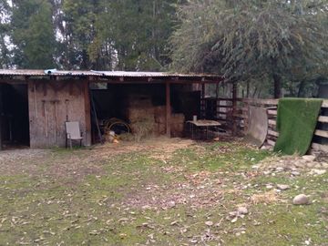 Linda Casa en Parcela de Media Hectàrea