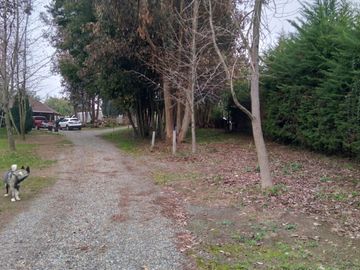 Linda Casa en Parcela de Media Hectàrea