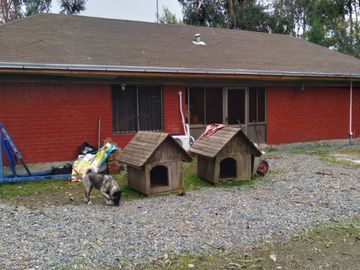 Linda Casa en Parcela de Media Hectàrea