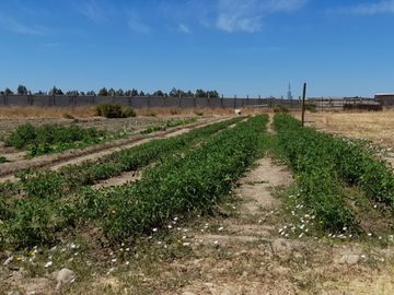 Casa en Parcela de 5.800.- Mts2 , sector Guadantun
