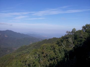 Fundo de 508 Hectàreas app, en Alto Pejerrey