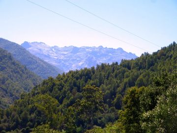 Fundo de 508 Hectàreas app, en Alto Pejerrey