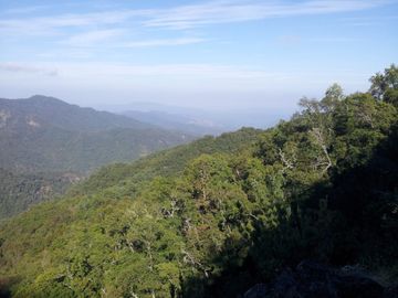 Fundo de 508 Hectàreas app, en Alto Pejerrey