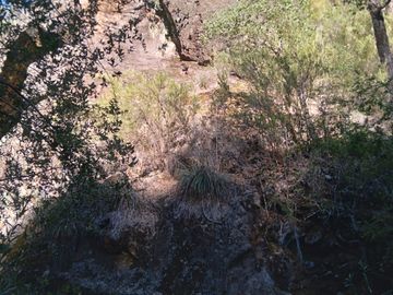 Fundo de 508 Hectàreas app, en Alto Pejerrey