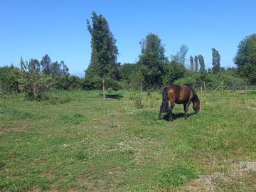 Parcela de agrado con casa, a solo minutos de Yerbas Buenas