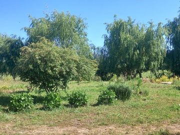 Parcela de agrado con casa, a solo minutos de Yerbas Buenas