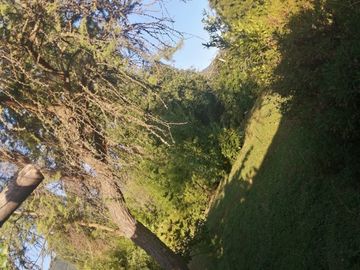 Casa en Parcela de 5.000.- Mts2 en Sector Rabones