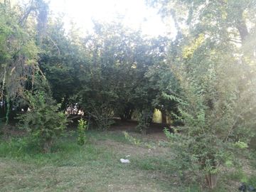 Casa en Parcela de 5.000.- Mts2 en Sector Rabones