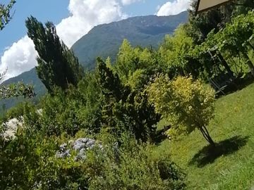 Casa en Parcela de 5.000.- Mts2 en Sector Rabones